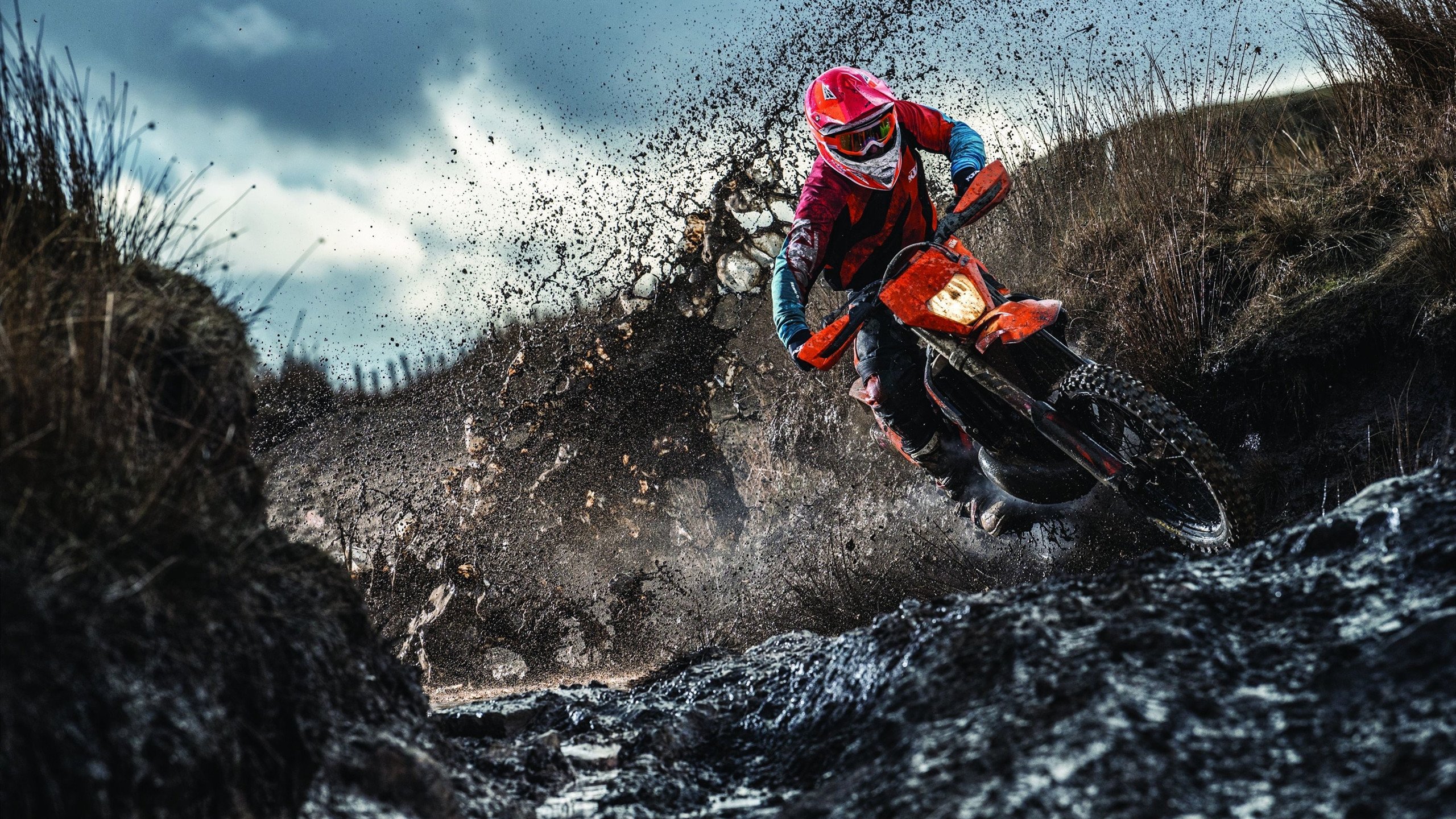 200蝶划频与心率数据关联分析